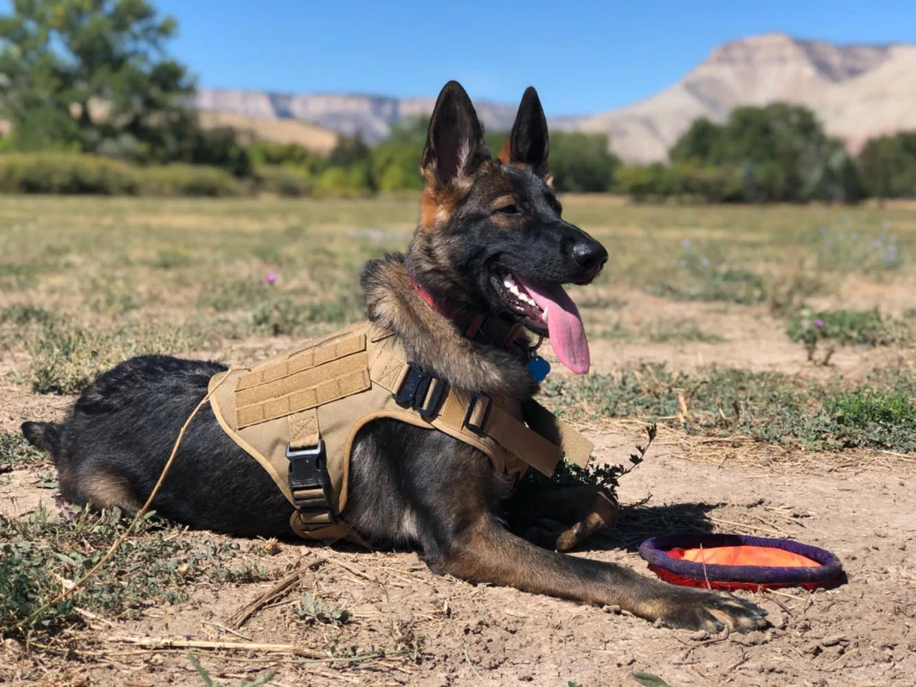 Camouflage Tactical Dog Harness with Leash Set