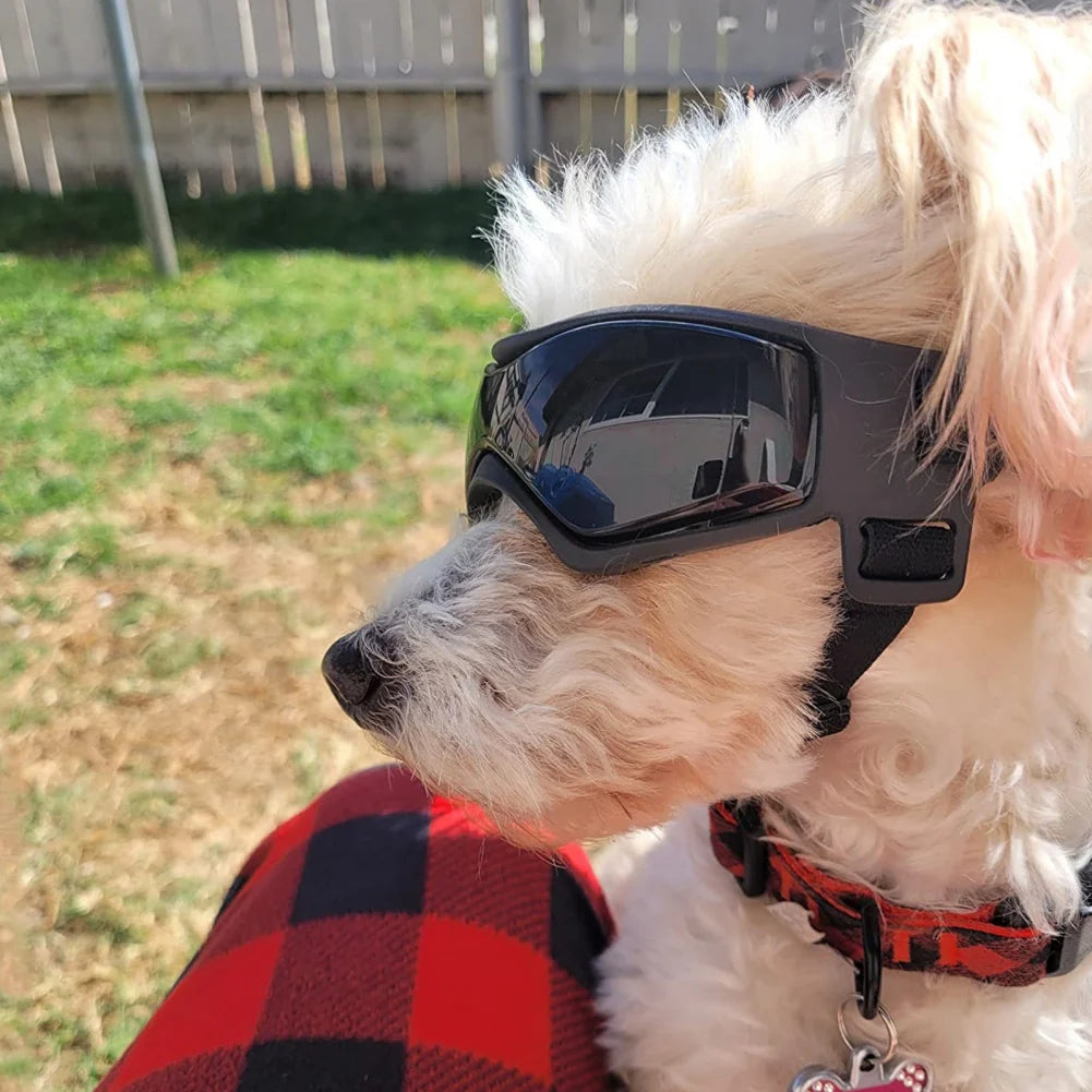 Dog Goggles UV Protection Sunglasses for Small & Medium Dogs