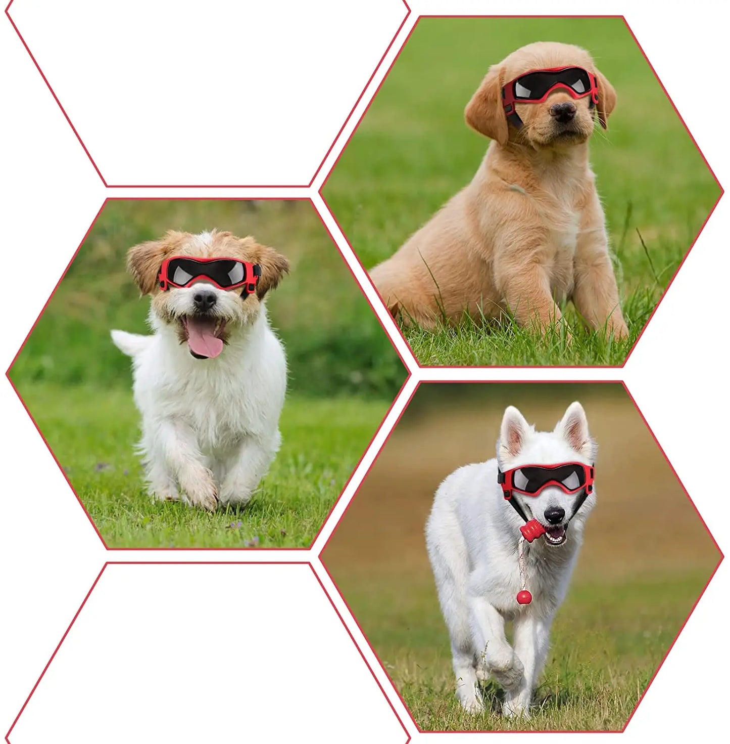 Dog Goggles UV Protection Sunglasses for Small & Medium Dogs