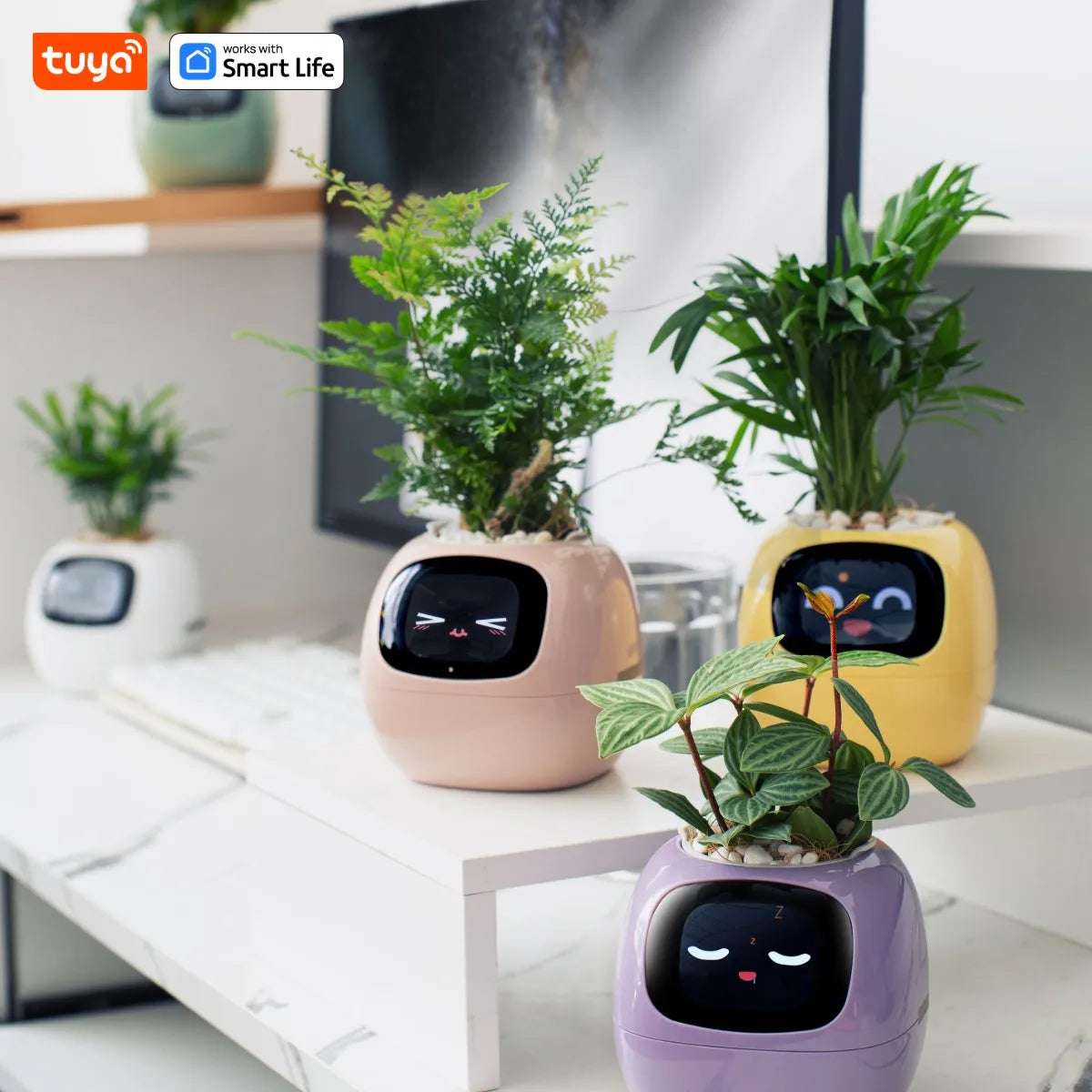 Smart Emoji Plant Pot – AI Interactive Flowerpot