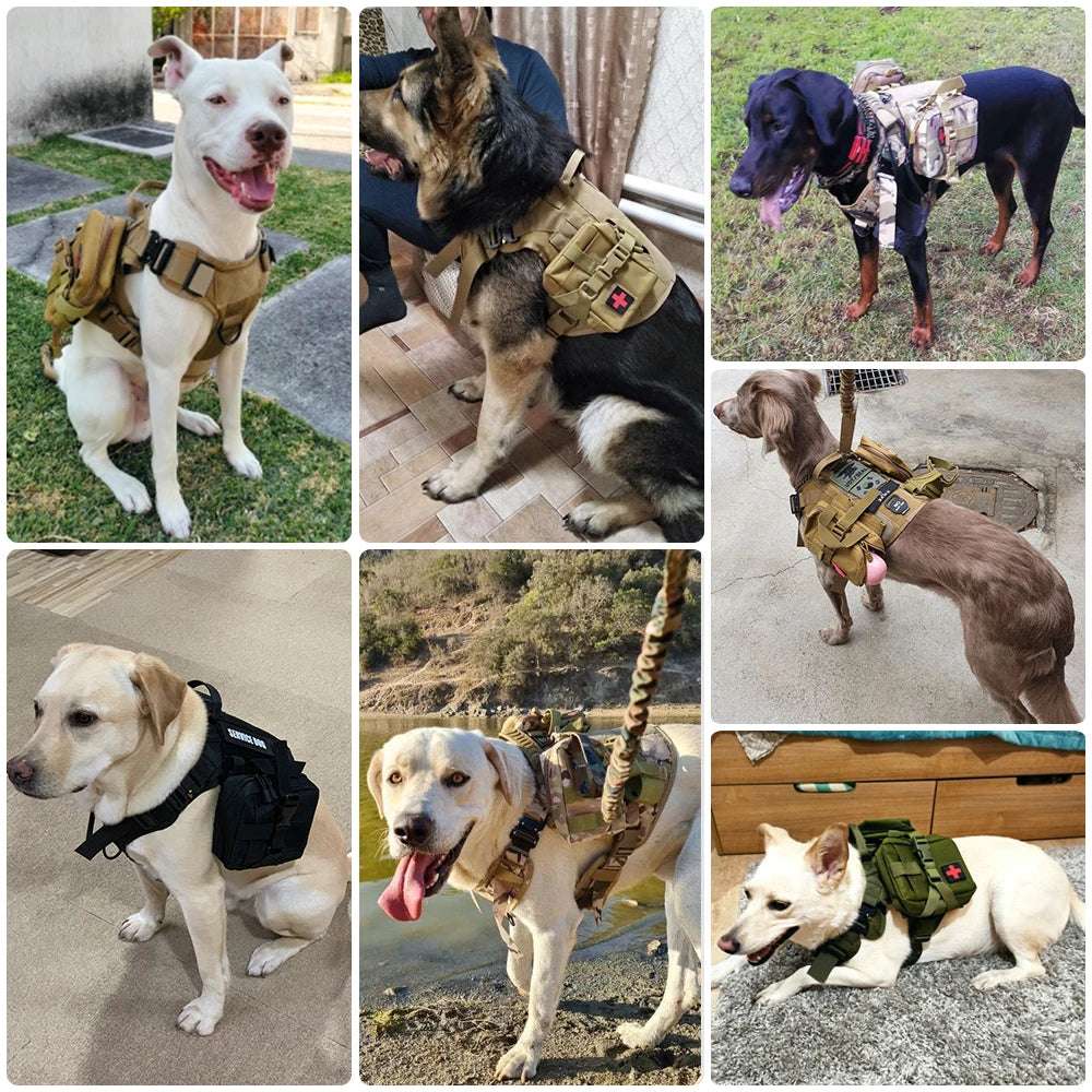 Camouflage Tactical Dog Harness with Leash Set