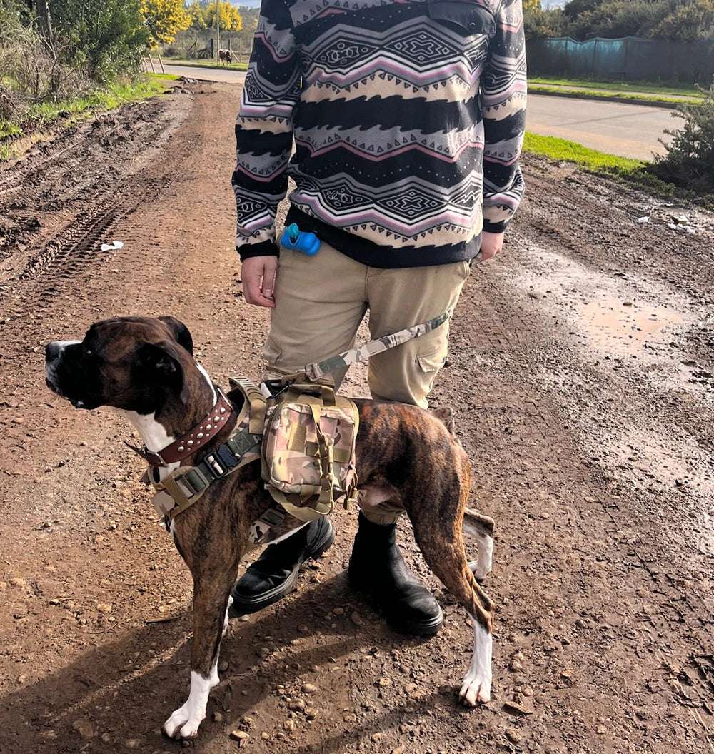 Camouflage Tactical Dog Harness with Leash Set