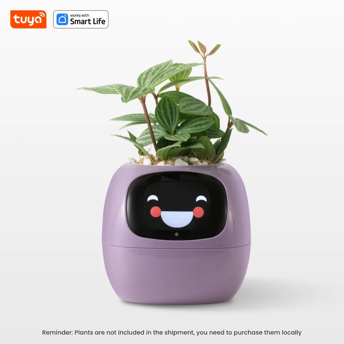 Smart Emoji Plant Pot – AI Interactive Flowerpot