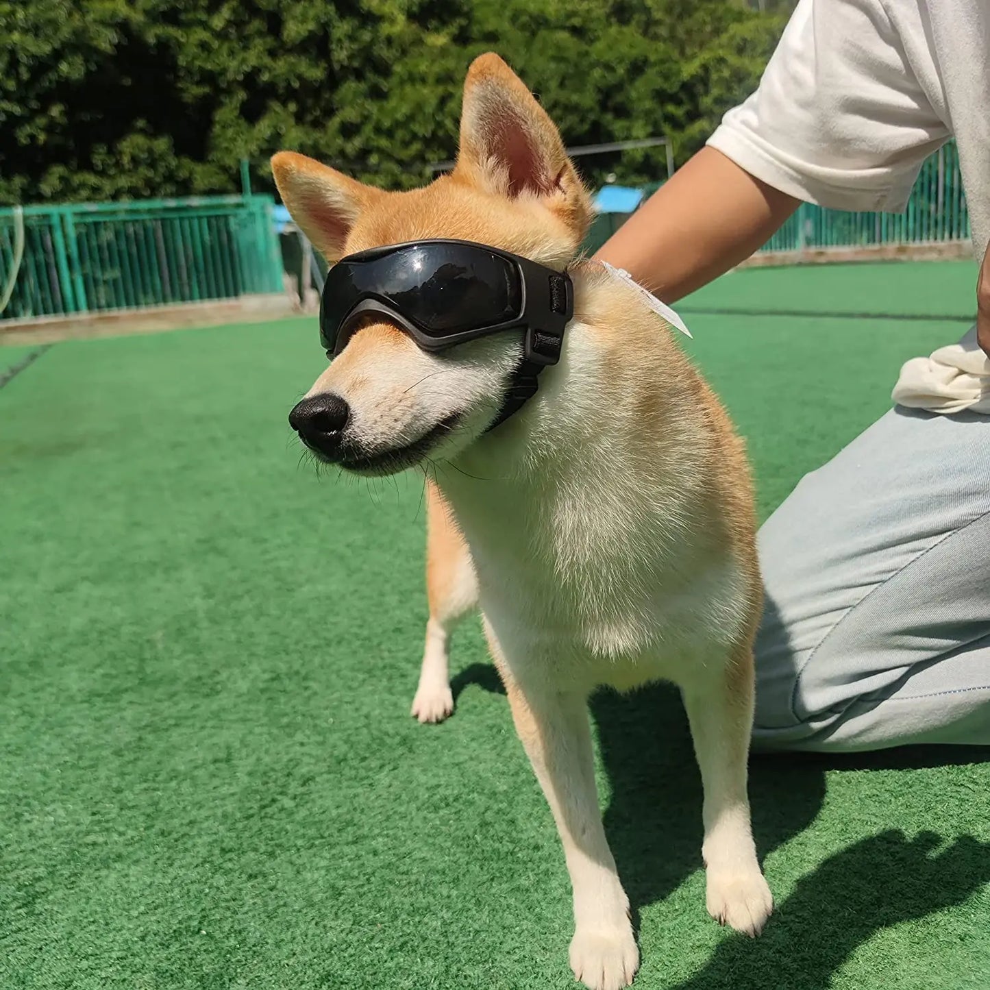 Dog Goggles UV Protection Sunglasses for Small & Medium Dogs