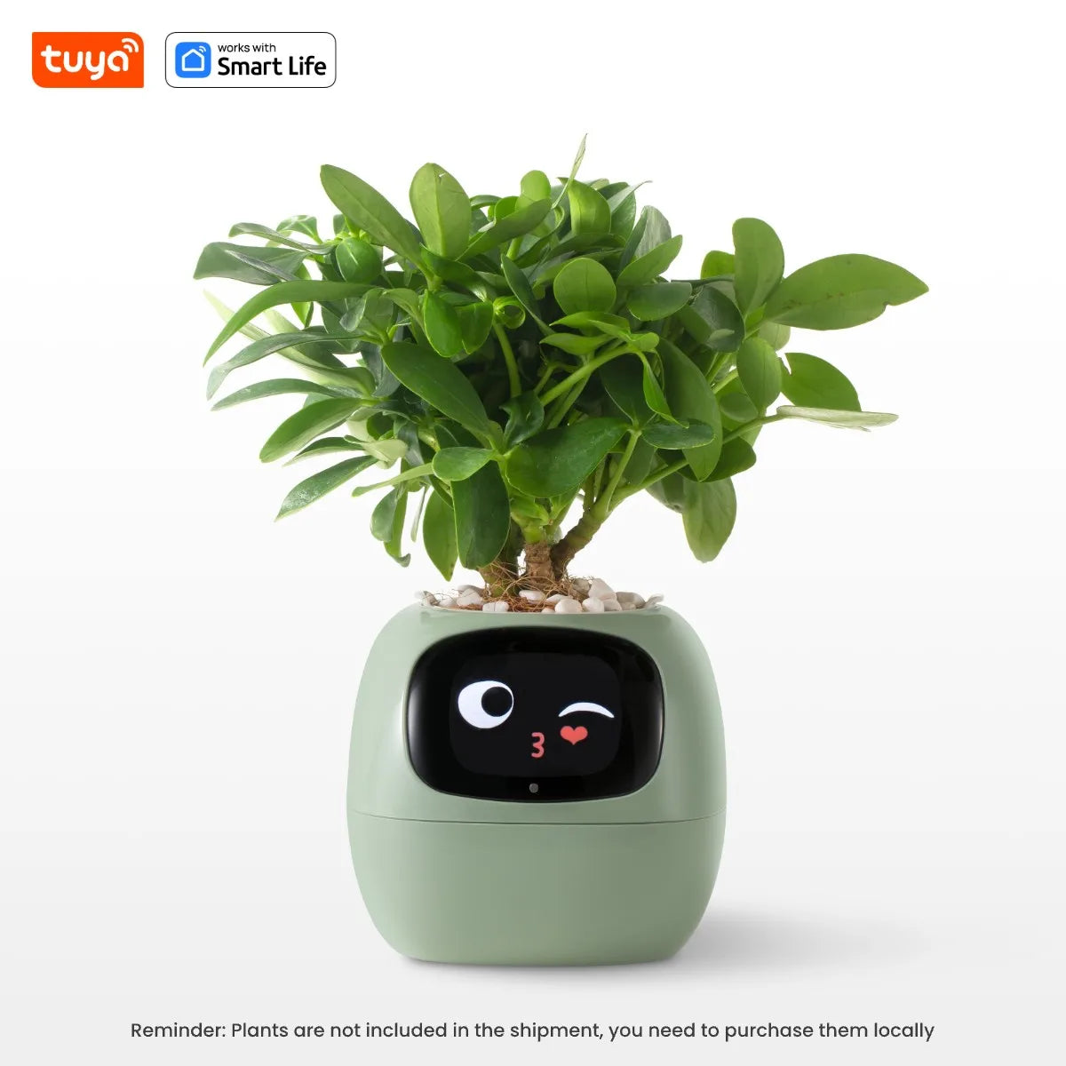 Smart Emoji Plant Pot – AI Interactive Flowerpot