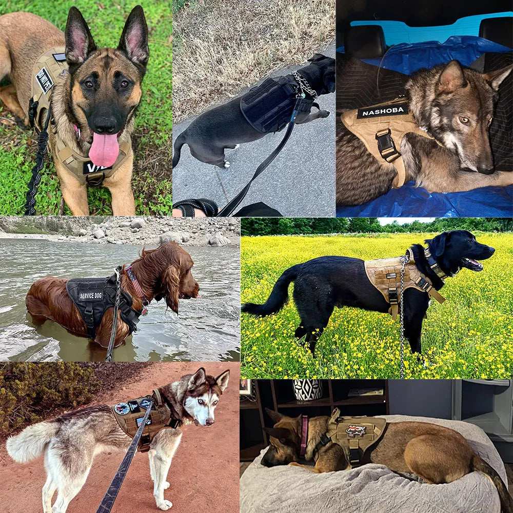 Camouflage Tactical Dog Harness with Leash Set