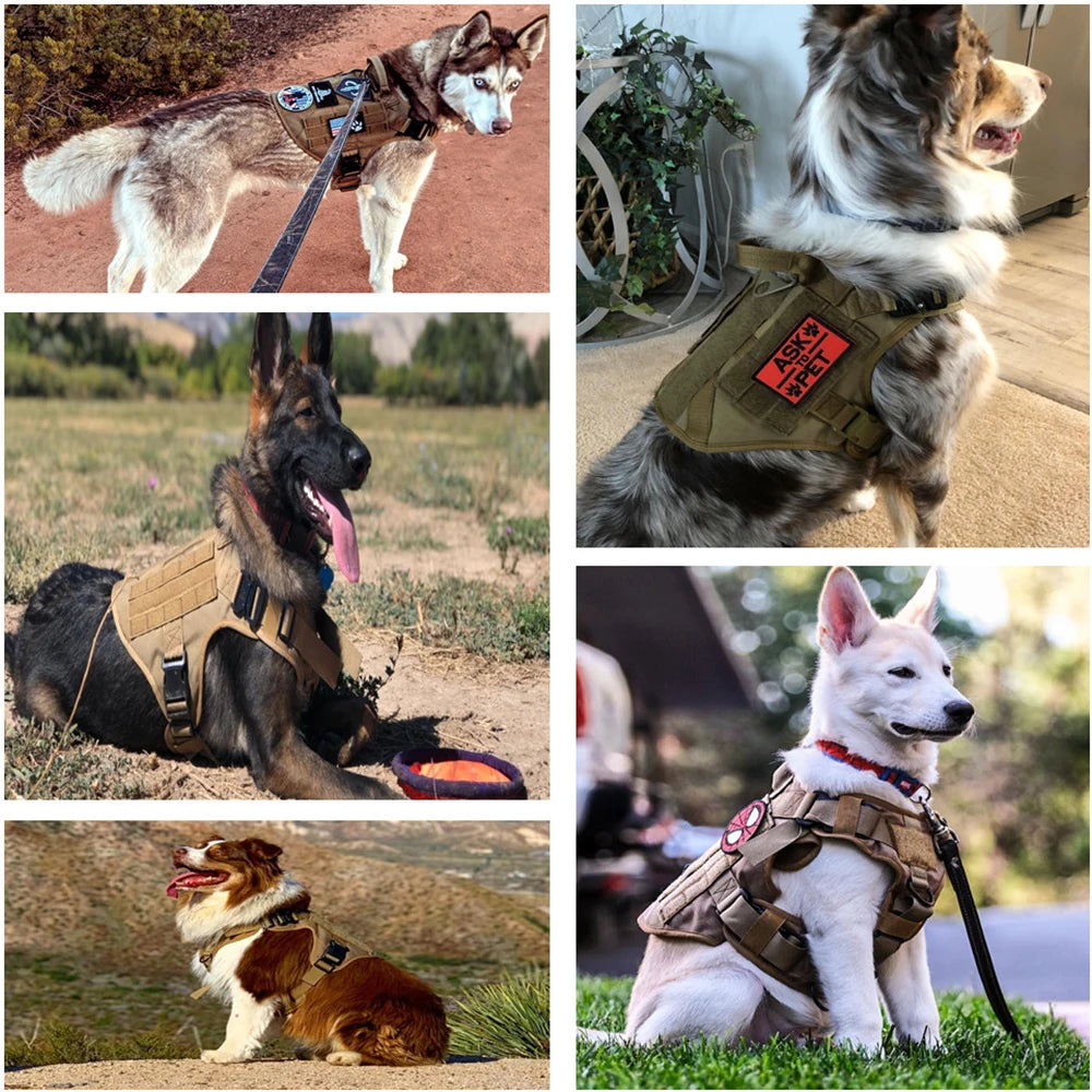 Camouflage Tactical Dog Harness with Leash Set