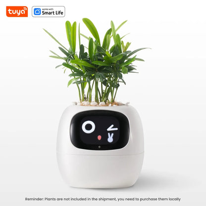 Smart Emoji Plant Pot – AI Interactive Flowerpot