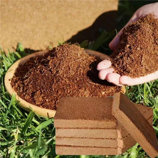 4Pcs Organic Coconut Coir Soil Bricks for Gardening