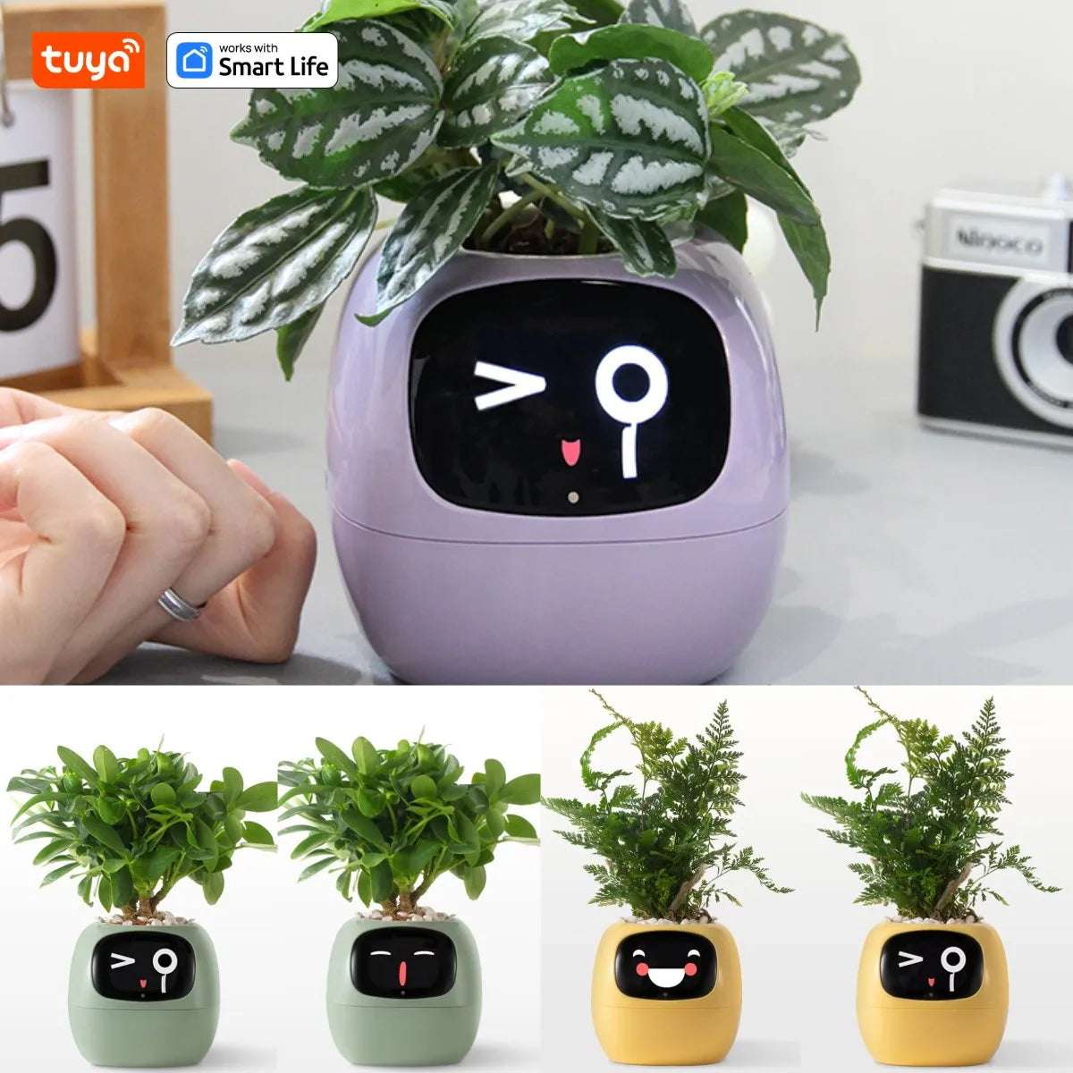 Smart Emoji Plant Pot – AI Interactive Flowerpot