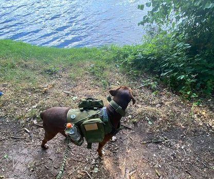Camouflage Tactical Dog Harness with Leash Set