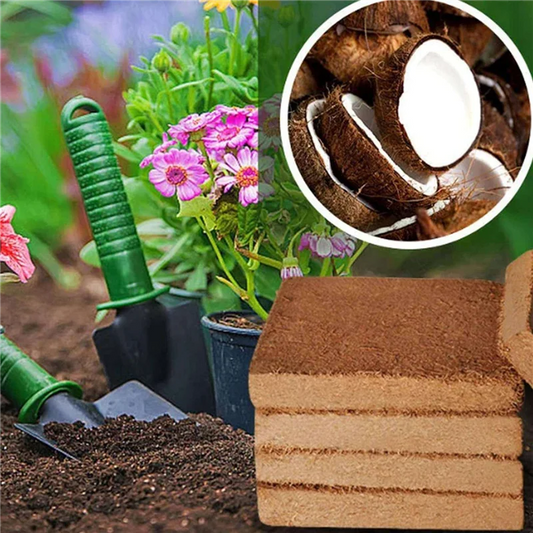 4Pcs Organic Coconut Coir Soil Bricks for Gardening