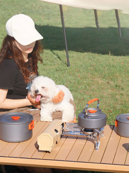 Portable Folding Butane Gas Stove